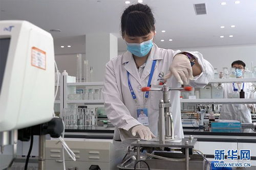 聚焦高质量发展丨 416 33618 解锁材料科学研究的“未来密码”